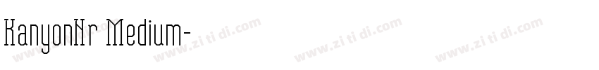 KanyonNr Medium字体转换